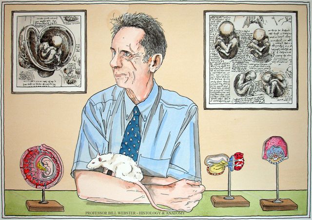 Professor Bill Webster Professor Bill Webster