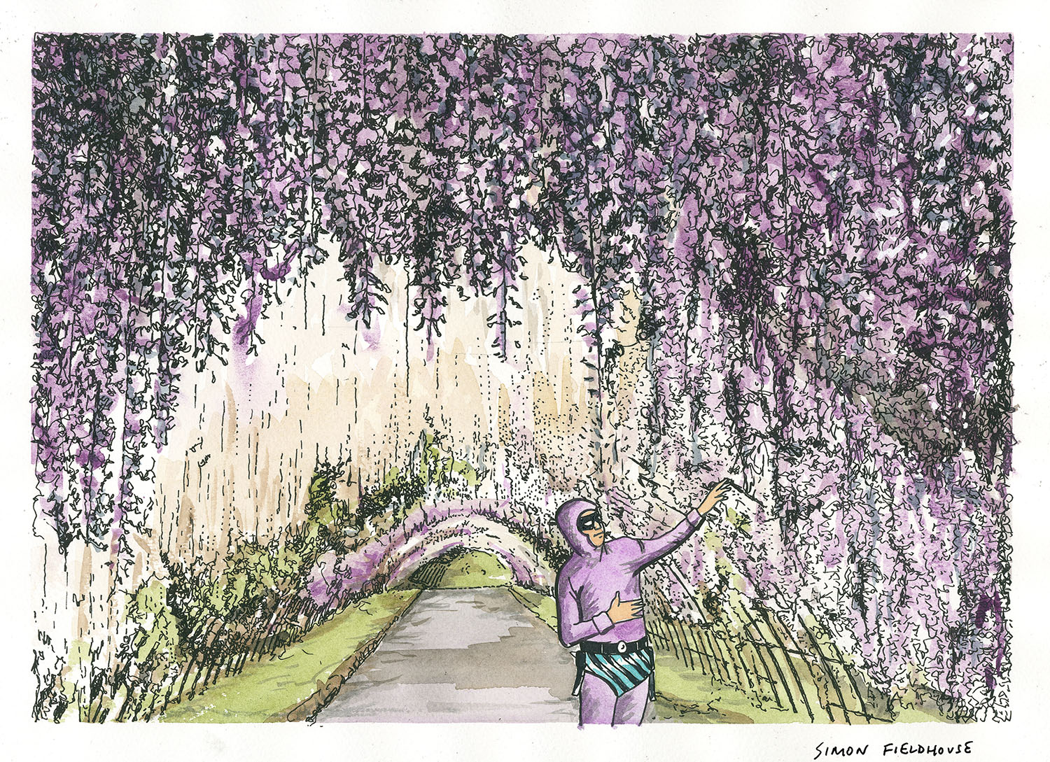 Mysterious Wisteria Mysterious Wisteria Simon Fieldhouse Mysterious Wisteria